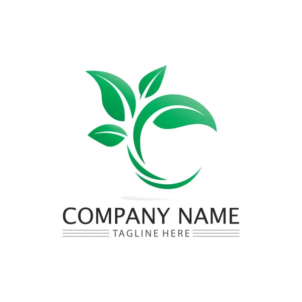 Leaf Hature Tree Logo Business Vector Green Plant Ecology Design — стоковый вектор