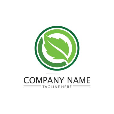 Yeşil ağaç yaprağı ekoloji doğa elementi vektörü logoları
