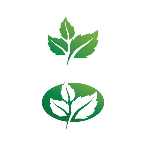 Logos Von Grünen Baumblättern Ökologie Natur Element Vektor — Stockvektor