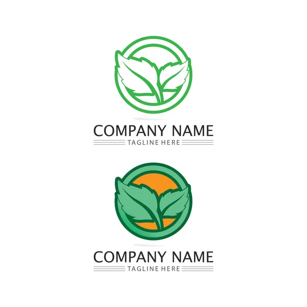 Logos Vert Feuille Arbre Écologie Élément Nature Vecteur — Image vectorielle