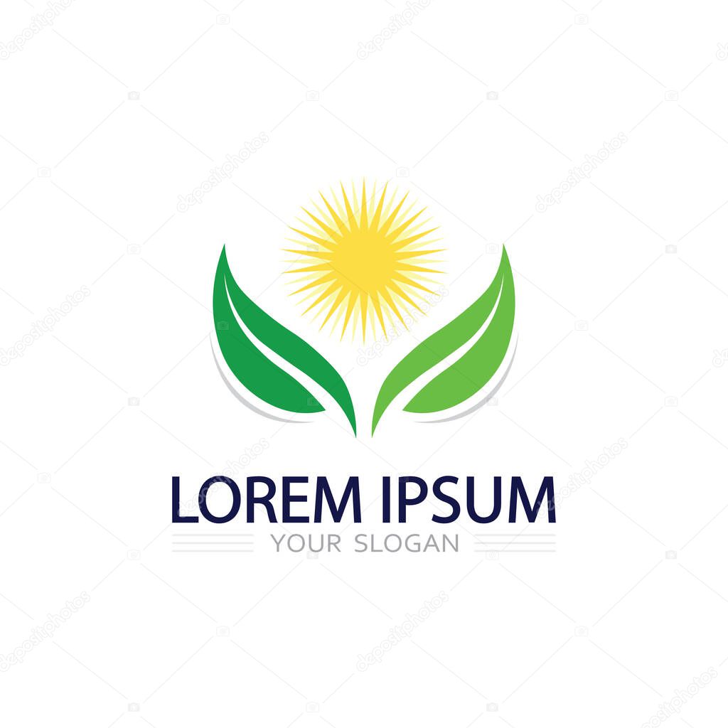 Fresh plant leaf logo symbol representing health, vitality, and natural organic life