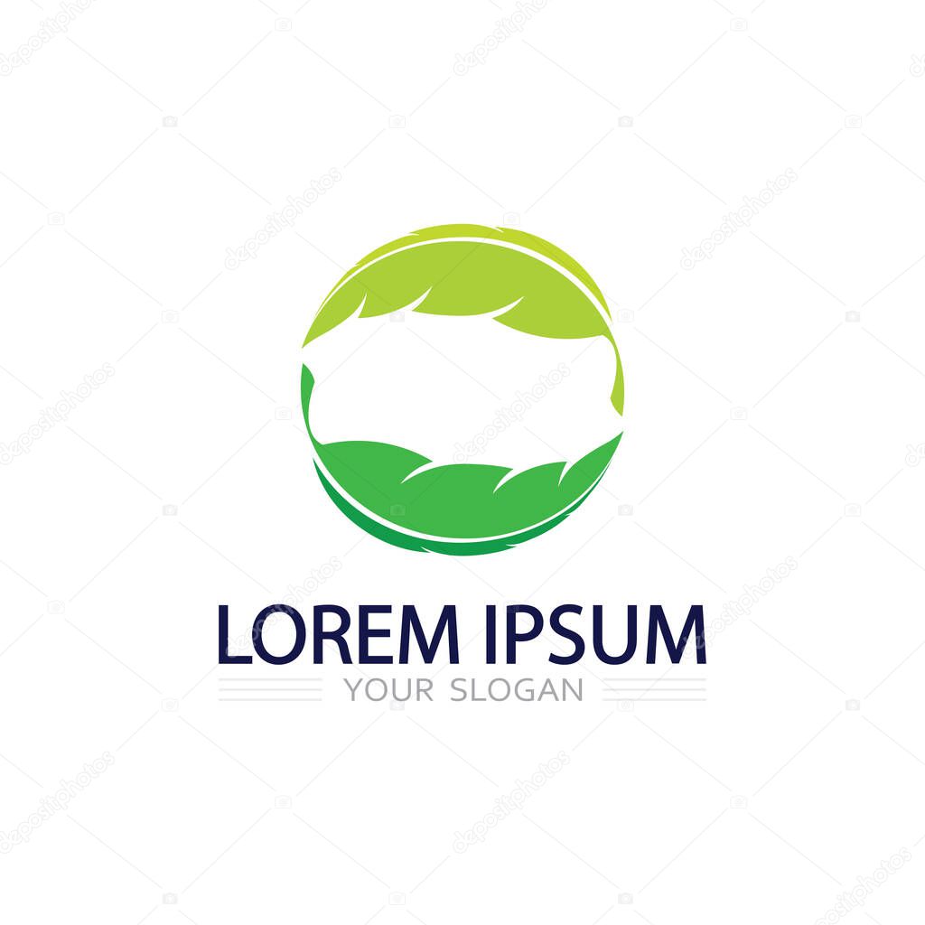 Modern leaf shape vector icon for natural brand identity and eco company