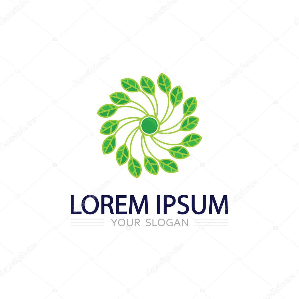 Green leaf and plant vector logo design for natural skincare or herbal brand
