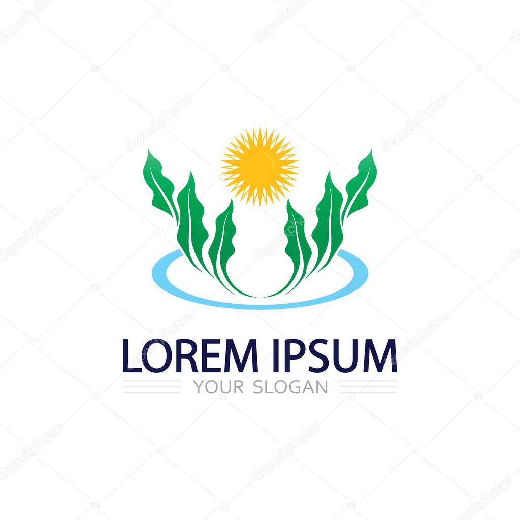 Elegant plant leaf logo icon representing organic nature and environmental freshness