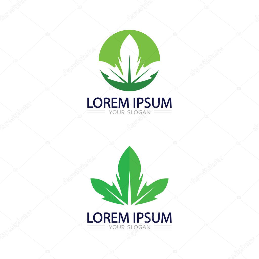 Minimalist leaf icon vector logo symbolizing growth, renewal, and clean environment