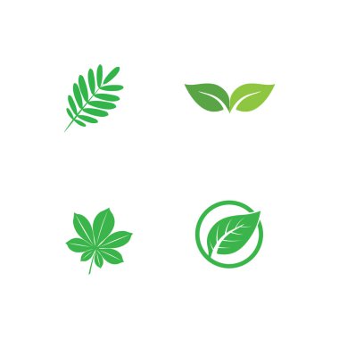 Temiz Taze Botanik Vektör Elementleriyle Tasarlanmış Doğa Yaprağı Sembol Logosu
