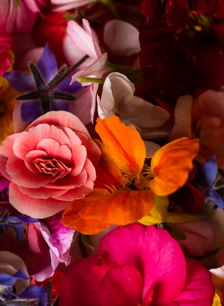 Fiori Commestibili Diversi Colori Decorare Piatti — Foto Stock