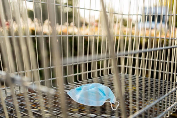 Grocery shopping with face mask during the coronavirus COVID-19 pandemic. Empty grocery shopping cart outdoor. Autumnal blurred background. Go shopping with a medical face mask.