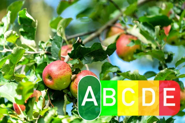 apple tree whit nutri score - nutri score, official label - A. Food labeling