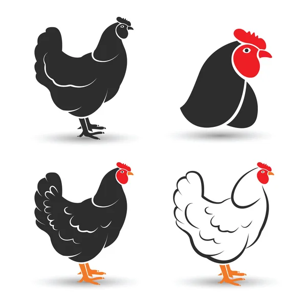 Κοτόπουλο και κόκορας διάνυσμα — Διανυσματικό Αρχείο