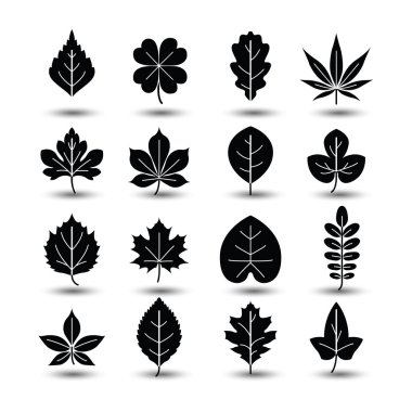 simge vektör yaprak