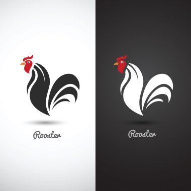 Tavuk ve horoz, horoz vektör