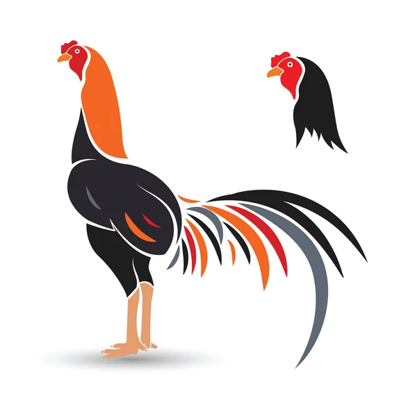 Ayam dan ayam, Rooster vector - Stok Vektor