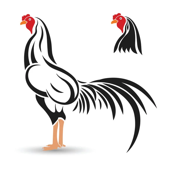 Pollo y polla, Gallo vector — Vector de stock