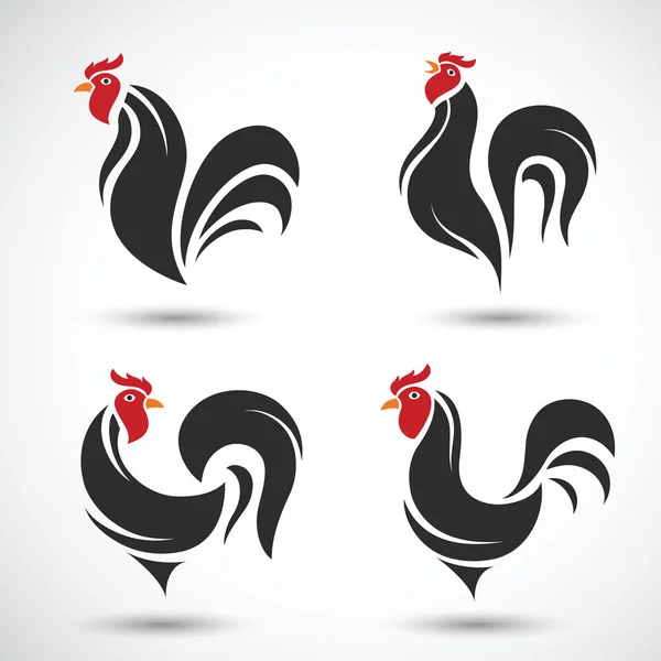 Pollo y polla, Gallo vector — Archivo Imágenes Vectoriales