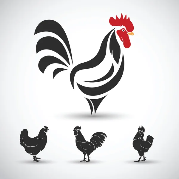 Pollo y polla, Gallo vector — Archivo Imágenes Vectoriales