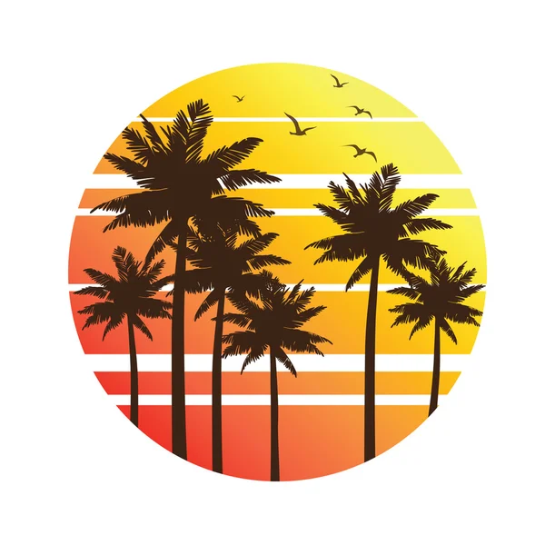 Palm träd sunset — Stock vektor