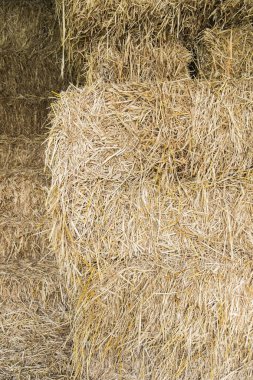 saman doku arka plan