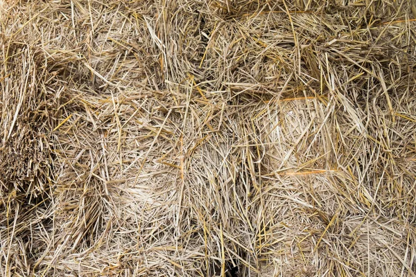 Hay texture Background — Stock Photo, Image