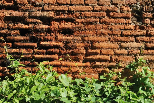 Old brick wall — Stock Photo, Image