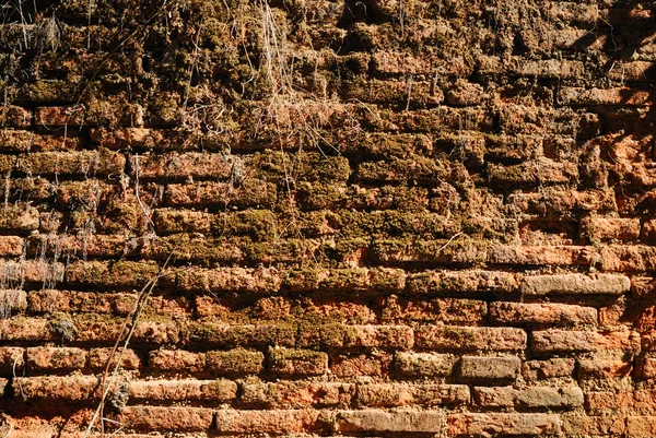 Old brick walls — Stock Photo, Image