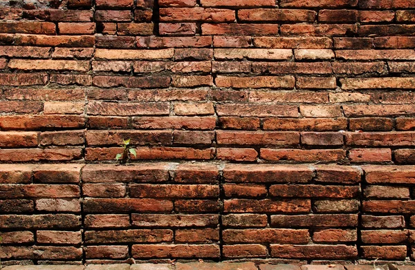 Old brick wall — Stock Photo, Image