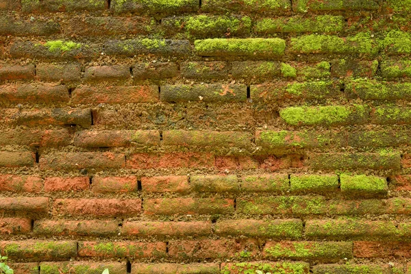 Cihlová zeď s mechem — Stock fotografie