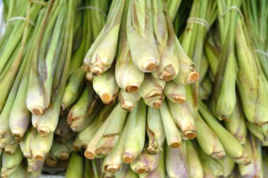 Zerdeçal pazarında