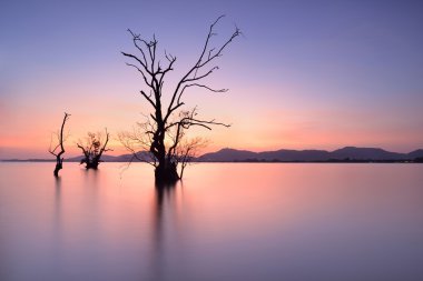deniz manzarası üzerinde günbatımı