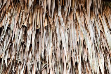 Bambu dokusu arkaplanı