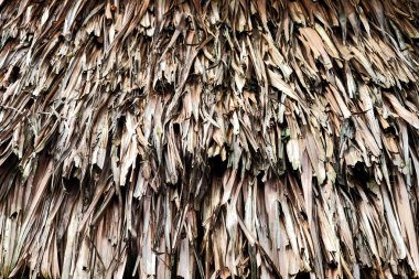 Bambu dokusu arkaplanı