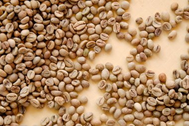 taze kahve çekirdekleri