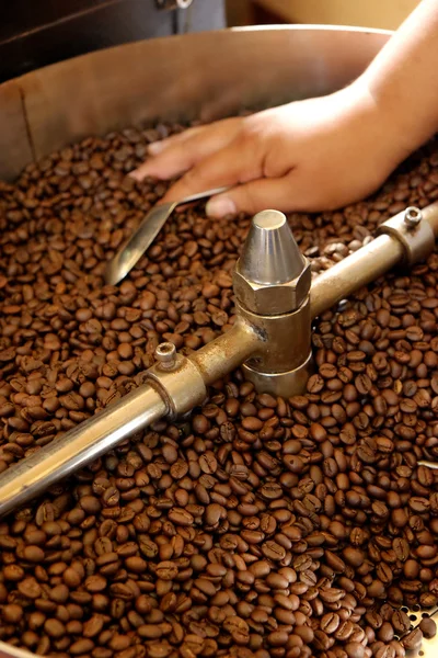 Torrador de grãos de café — Fotografia de Stock