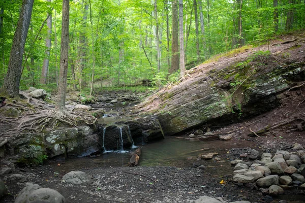 Bosque verde encantado idílico con cascada sobre la formación de rocas. —  Fotos de Stock