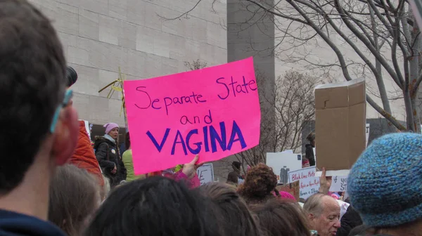 Womens March on Washington pink hats and protest signs: Separate State and Vagina —  Fotos de Stock