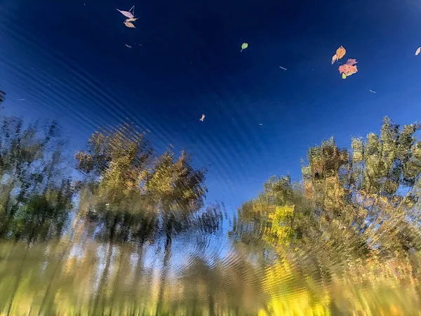 Trippelnde Herbstreflexion im wirbelnden Waldsee. — Stockfoto