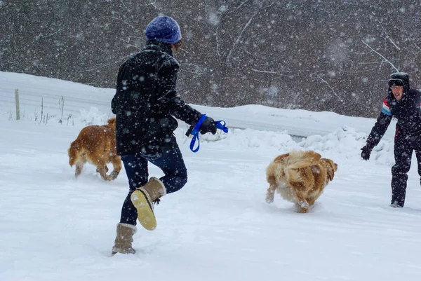 Two people run with happy dogs through the falling snow