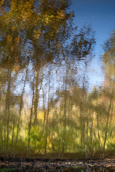Herbstlicher Wald spiegelt sich in plätscherndem See. — Stockfoto