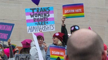 Washington 'daki Kadın Yürüyüşü' ndeki protesto tabelaları -- kalabalıktan görüş.