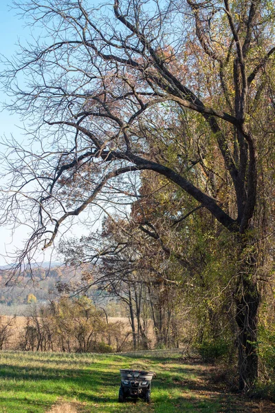 Внедорожник под высокими ветвями деревьев в сельской местности. — стоковое фото