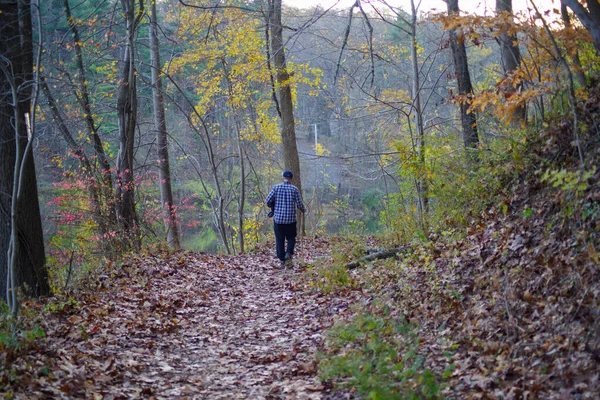 Aktív végzős sétapálcával erdei ösvényen sétál. — Stock Fotó