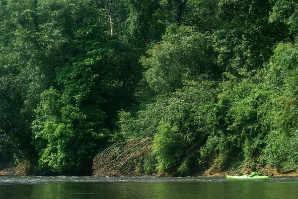 Junger Mann paddelt allein in malerischem Fluss mit hohen Bäumen — Stockfoto