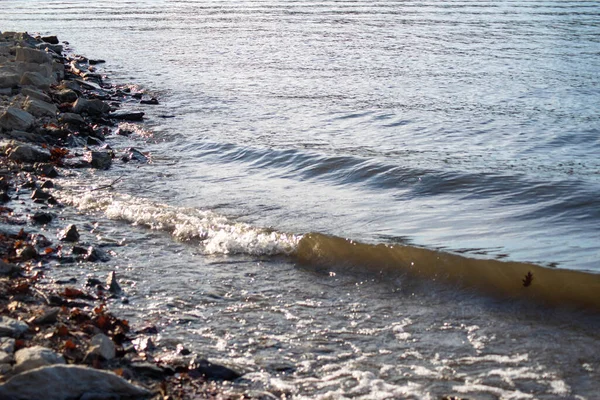 Nazik Dalgalarla Sakin Sahil Hattı