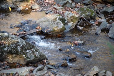 Akan bir derenin üzerinde bir ayak köprüsü.