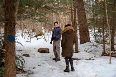 A man and a woman stop on a snowy woodland hiking trail