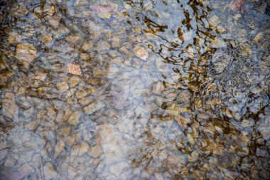 rengarenk taştan dipte akan akıntıda dalgalanan su.