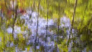 Orman Gölü 'ndeki kargaşa içine bir taş atıldığında dalgalanır.