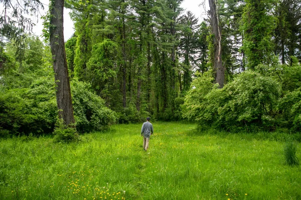 Un homme s'éloigne de la caméra sur l'herbe verte dans les bois — Photo