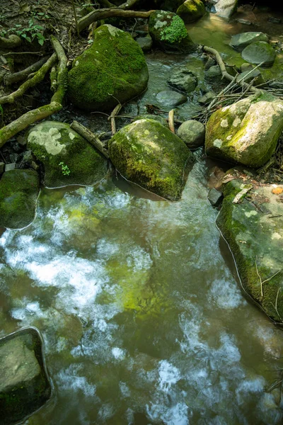 Vertikales Bild von bemoosten Steinen und Waldspiegelungen im idyllisch fließenden Bach — Stockfoto