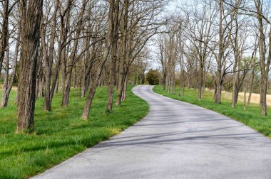 İlkbaharın başlarında asfalt yol boyunca uzanan orman manzarası ağaç gövdeleri ve dalları manzaralı seyahat sahnesi yok.